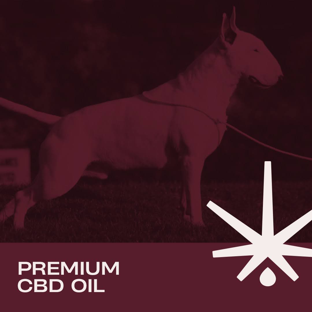 Aceite H30CBD 3% FULL SPECTRUM - Reduce el estrés y alivia el dolor para Mascotas. Perros y Gatos.