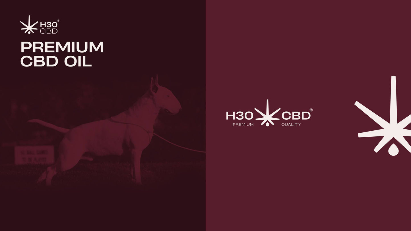 Aceite H30CBD 3% FULL SPECTRUM - Reduce el estrés y alivia el dolor para Mascotas. Perros y Gatos.