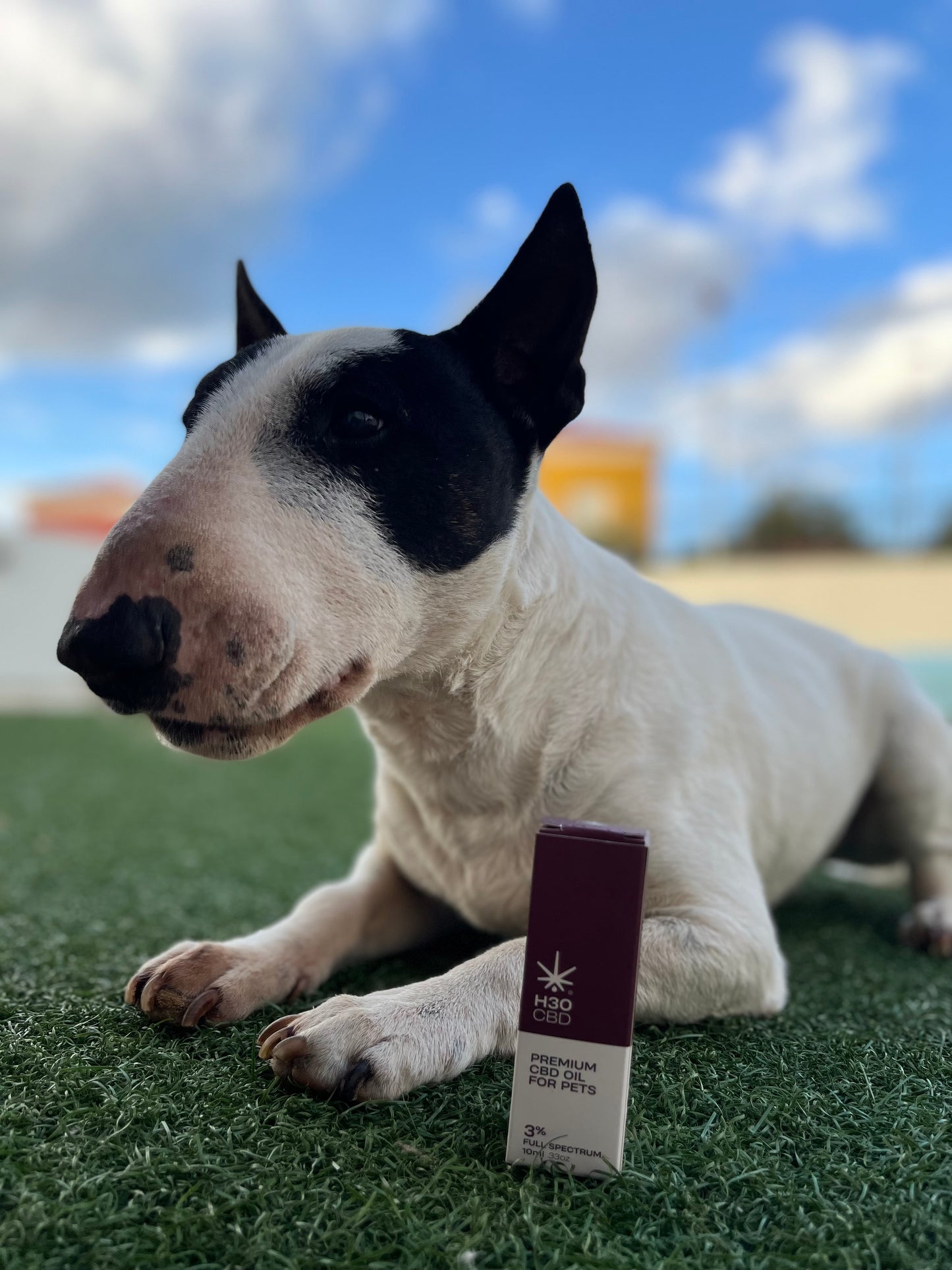 Aceite H30CBD 3% FULL SPECTRUM - Reduce el estrés y alivia el dolor para Mascotas. Perros y Gatos.