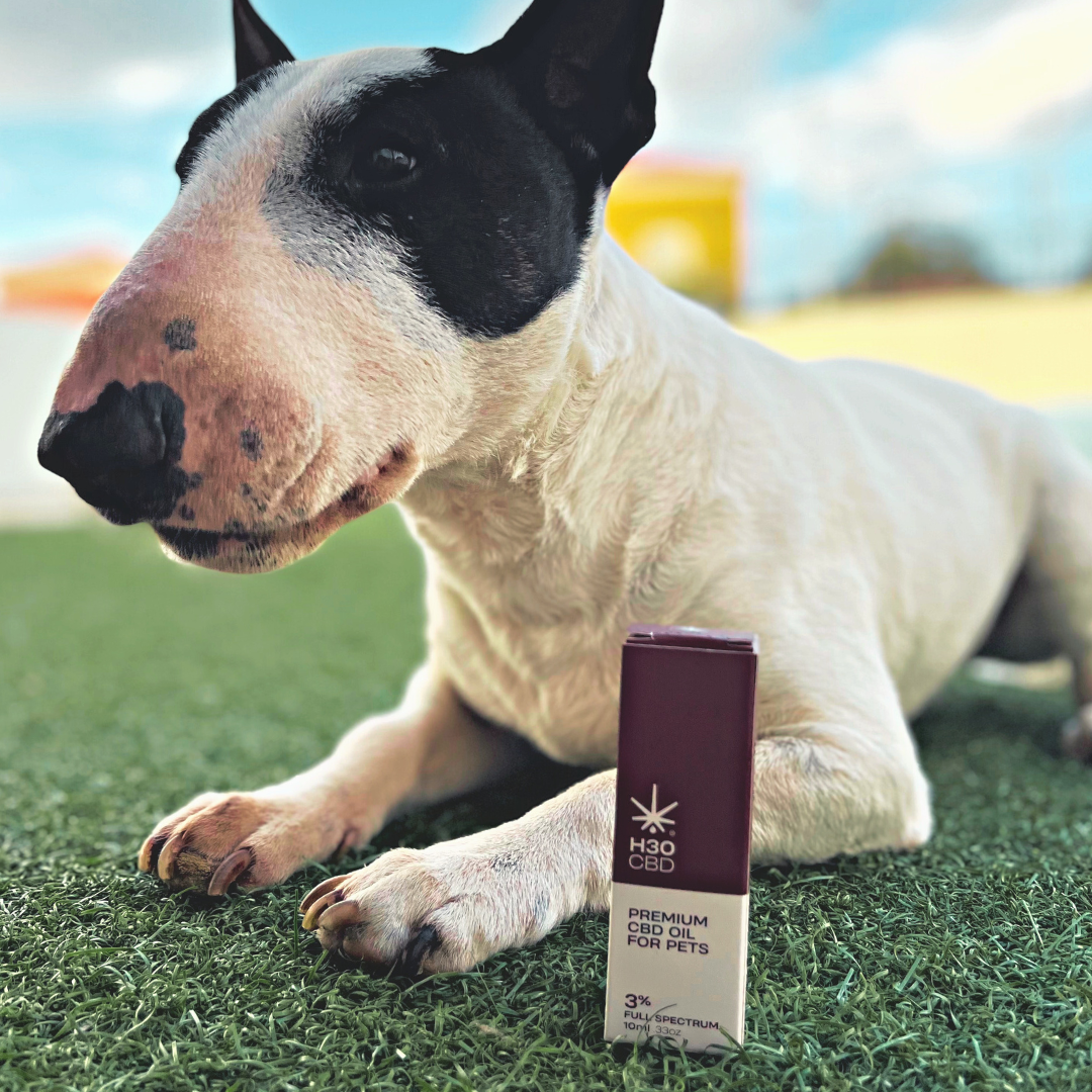 Aceite H30CBD 3% FULL SPECTRUM - Reduce el estrés y alivia el dolor para Mascotas. Perros y Gatos.