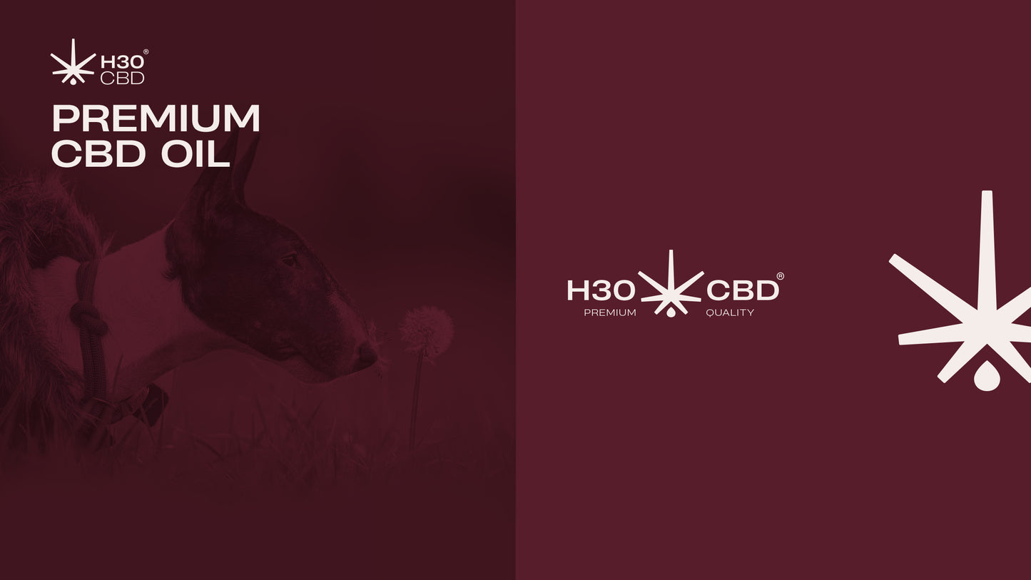 Aceite H30CBD 3% FULL SPECTRUM - Reduce el estrés y alivia el dolor para Mascotas. Perros y Gatos.